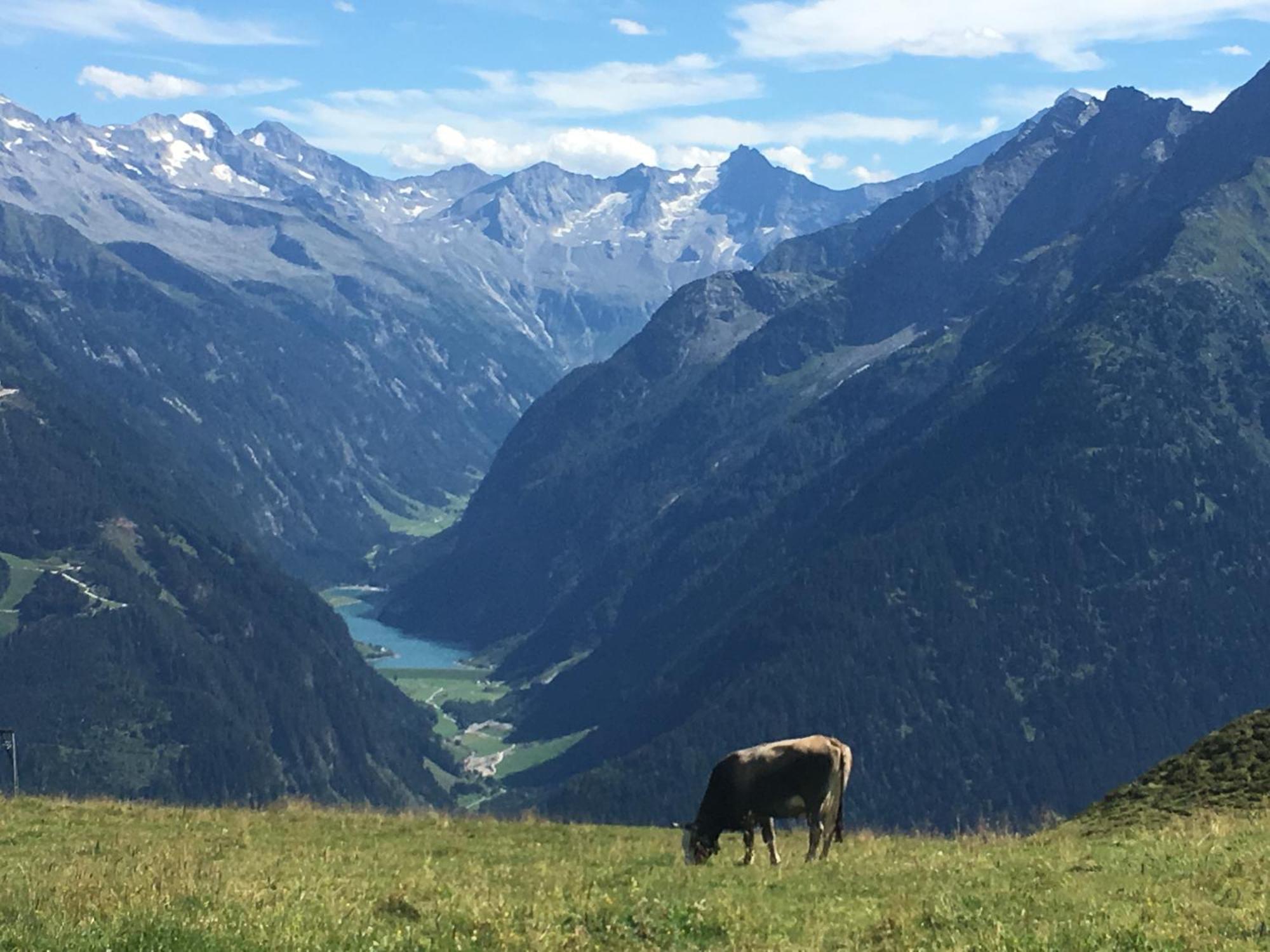 Landhaus Katharina Bis 12 Personen Mit Saunachalet Und Blick Auf Die Bergwelt Des Zillertals Hippach Buitenkant foto